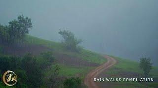 [4K] Walking in Cold  Rainy Weather  | ASMR Rain Walks Compilation for Deep Sleep and Meditation