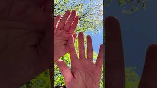 Reiki is Therapeutic 