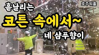 호주워홀 코튼진 일상 vlog/ 일은 언제 하냐?