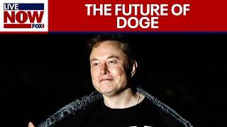 Full Hearing: Elon Musk Influence and DOGE Payment systems