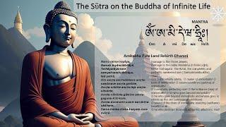 The Sutra on the Buddha of Infinite Life