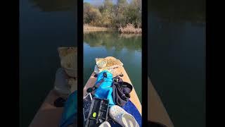 Litter picking while paddleboarding