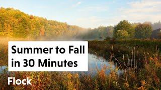 SUMMER TO FALL Landscape Transformation in 30 MINS — Ep. 212