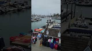 Lighthouse Oyster Bar Grill Oceanside San Diego