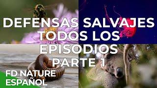 Defensas Salvajes Todos los Episodios Parte 1 | Free Documentary Nature - Español