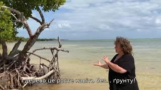 Promo for classes with Dr Theresa Cianciolo with Ukrainian subtitles