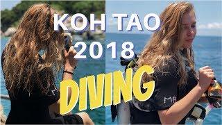 Koh Tao 2018 // Diving | Sofia Parshina