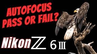 Nikon Z6 III - BIF Autofocus Pass or Fail?  Field Tested vs Z9 Animal and Bird Modes