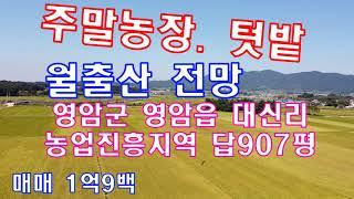 #전남토지매물번호(1734)영암 영암읍 대신리 농업진흥지역 답907평 국립공원 월출산 전망  매매 1억9백  주말농장.텃밭.농막.농지원부 광주~영암 고속도로 공사중