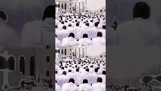 Masjid Al Haram #kabbah #most inclusive global community #inspiration #connection shareing spiritual