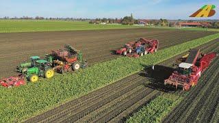 Großeinsatz Rüben roden 18 reihige Rübenernte Landwirtschaft Niedersachsen Sugarbeet harvesting 2020