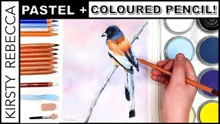 Pan Pastel with Coloured Pencil for Beginners! // YOUR Questions Answered!