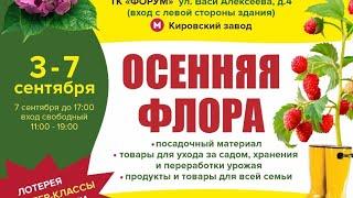 Что привезем на ярмарку с 3-7 сентября. Приходите, чтобы купить новую радость для своего сада!!!