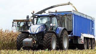 Mais 2024!  | New Holland FR920 + New Holland & Fendt Tractors | Corn Silage - Mais Silage