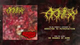 Apoplexy - 50 Shades Of Gore FULL ALBUM (2024 - Deathgrind / Gore Metal)