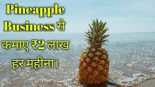 Pineapple(अनानास फल)Ka Business Kaise Suru Karen?How To Do Start Pineapple Business?#vickyagro#fruit