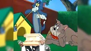 Coffin Dance Meme - Tom & Jerry Version