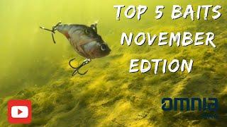 Top 5 Baits for Bass Fishing in November!