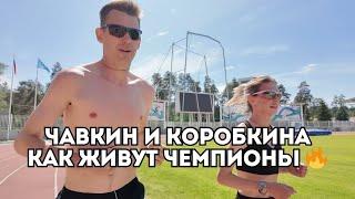 Чавкин и Коробкина - секретная подготовка к возвращению на дистанцию / Иван Докукин