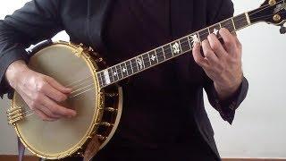 You Only Need Two Fingers! Tenor Banjo Lesson for Beginners: First Two Chords