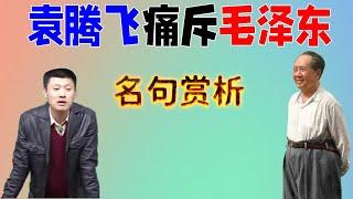 解读袁腾飞讲过的精彩语句：例如称毛泽东“狗屁不懂”、“人渣”、“歪门邪道一拍脑门就上来”、“干什么什么不灵”等等，袁腾飞用最通俗易懂的语言表达了最晦涩难懂的道理，一句话顶别人十万句