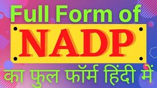 NADP full form,full form of NADP,NADP का फुल फॉर्म हिंदी में,what is NADP,NADP k Matlab Kya Hai,NADP