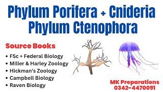 Phylum Porifera, Phylum Cnideria & Ctenophora: Characteristics &  Classification | Kingdom Animalia