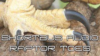 Sunday Ramble On...Shortbus Audio Raptor Toes