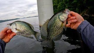 Searching for Big Crappie in July   (Chickamauga Lake)