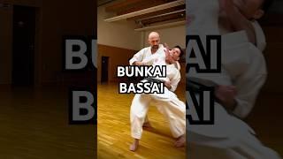 Bunkai Bassai - Karate Wado Ryu