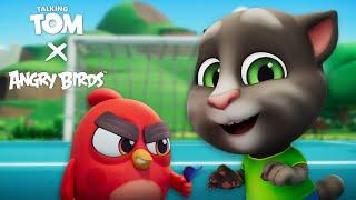 Talking Tom X Angry Birds: Tickle Tackle Ball