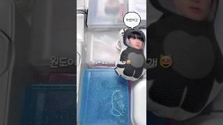 포장계의 통소개#통소개#원도어#포장계#포포#포카포장#photocard #보이넥스트도어 #원도어로그#덕질#ㅊㅊ#편집#아이브 #kpop #알고리즘