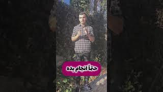 درمان خانگی میکروب معده و روده/ به پیج ما در اینستاگرام بیاید و به زندگی سالم دست پیدا کنید #معده