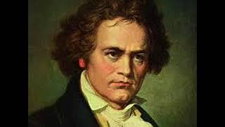 BEETHOVEN SYMPHONY # 7  FIRST MOVEMENT - PRO ARTE SYMPHONY ORCHESTRA IN 2004