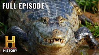 Swamp Mysteries: Nile Crocodile is DEADLY (S2, E5) | Full Episode