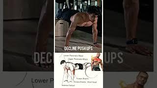 Decline Push Ups #upperchestworkout #chest #pecs