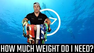 How much weight do I need? - Florida Freedivers