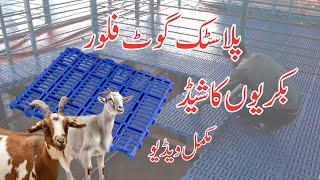 Plastic Floor for Goats in Pakistan | Alpha Livestock