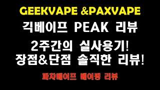 긱베이프 피크(PEAK) 전자담배 : 2주간 실사용 리뷰! 장점과 단점 정리!