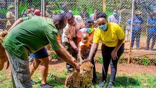 Nairobi National Park Experience