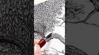 Today’s progress… #art #originalart #artist #shorts #drawing #penandink  #satisfying #tree #creative