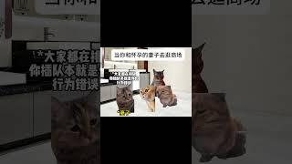 #猫meme #cat #猫meme小剧场 #猫meme剧场