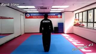 Taekwondo - Poomsae 1 (Il Jang) Slow-motion & Mirror