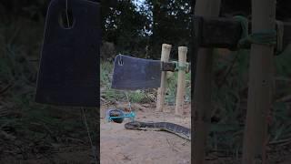 Simple Snake Trap using Knife  #creativesnaketrap#buildsnaketrap