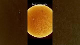 Sun in hydrogen alpha wavelength  #astrophotography #space #telescope