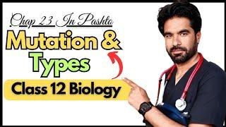 Mutation & its Types | Class 12th Biology | Chapter 23