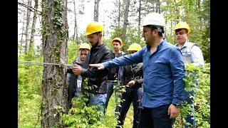 Ormancılık ve Orman Ürünleri Bölümü İş İmkanları ve Maaşları Hakkında Bilgi