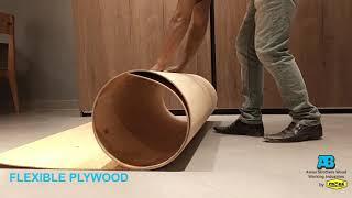 Patex  Flexible Plywood | Bendable Plywood | How to bend plywood | Termite Proof |