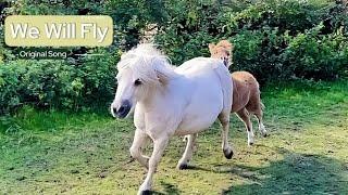 Cute Shetland Mare & Foal Fly through the Paddock. ️