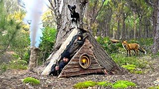 Building a Secret Shelter Inside a Big Tree for Survival | Warm stove and amazing fox